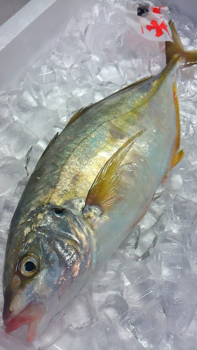 KIMG0624
