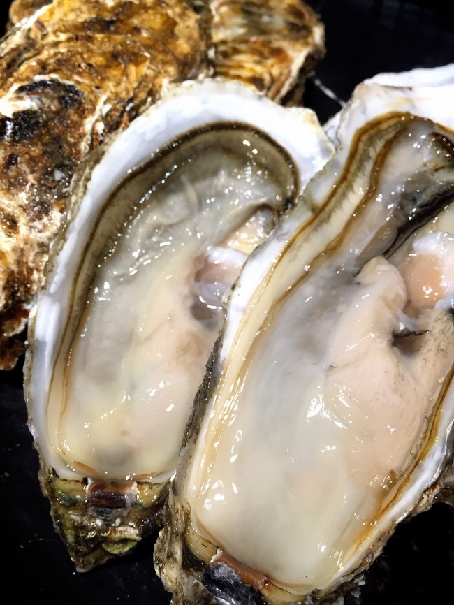 「北海道仙鳳趾の牡蠣」