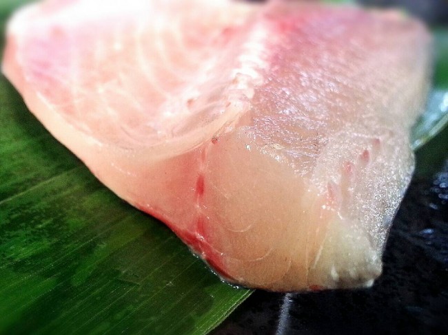 「和歌山吉宗さば」和歌由良のブランド鯖。