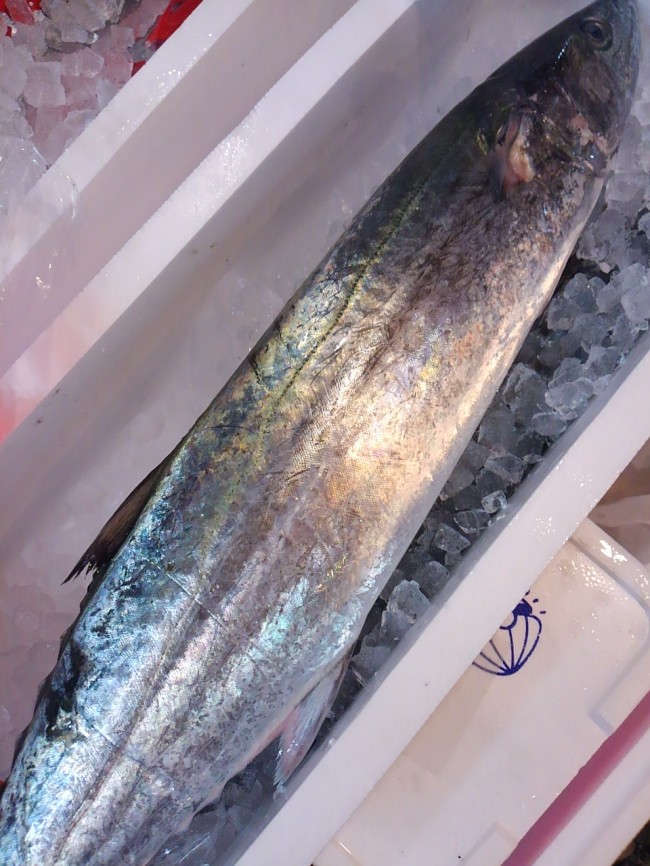 「大阪湾魚庭の脂さわら」