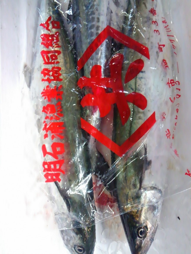 「明石 釣りさわら」