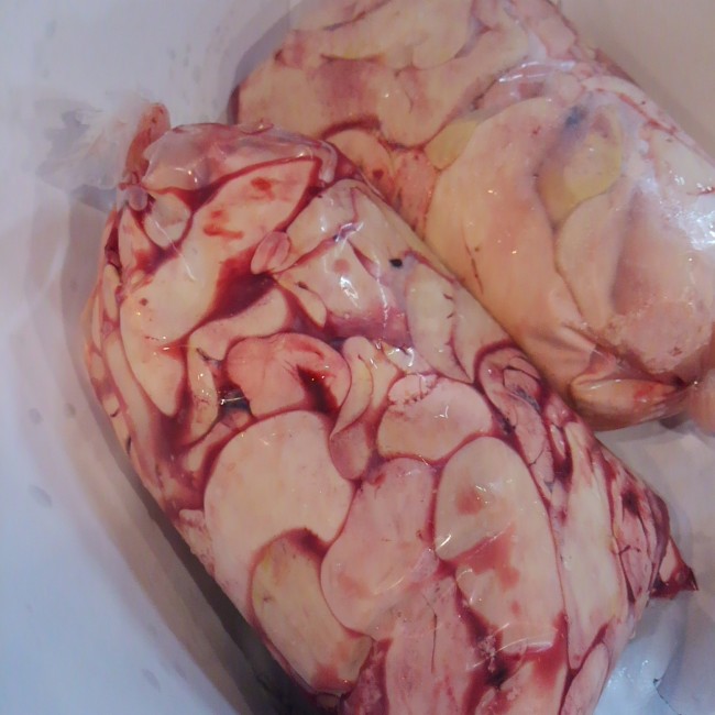 「山口　国産あん肝」