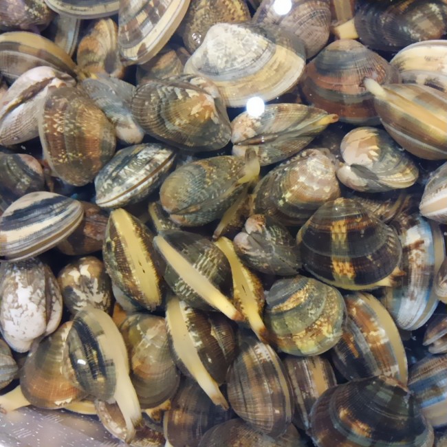 「極大 浜名湖ブラック」