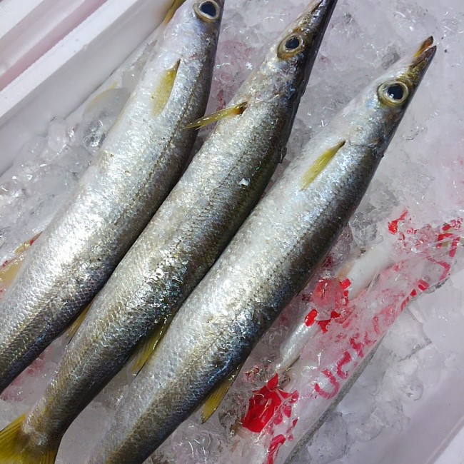 「長崎 かます」