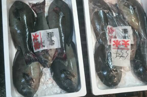 「徳島　ぐれ」