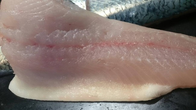 「北海道ニシン」