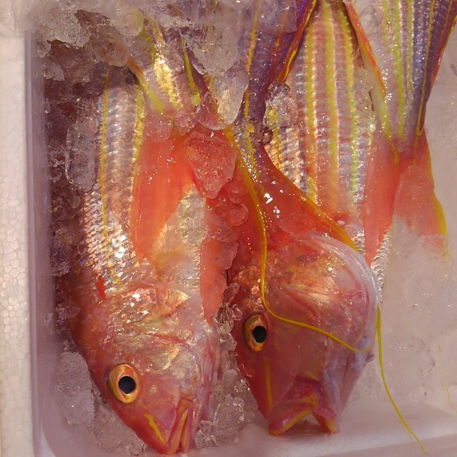 「長崎 いとより」