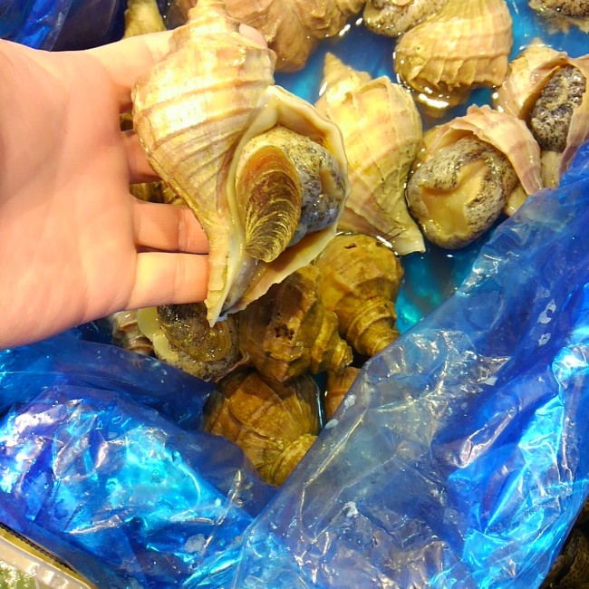 「北海道 まつぶ」