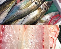 s-IMG_20160401_135513