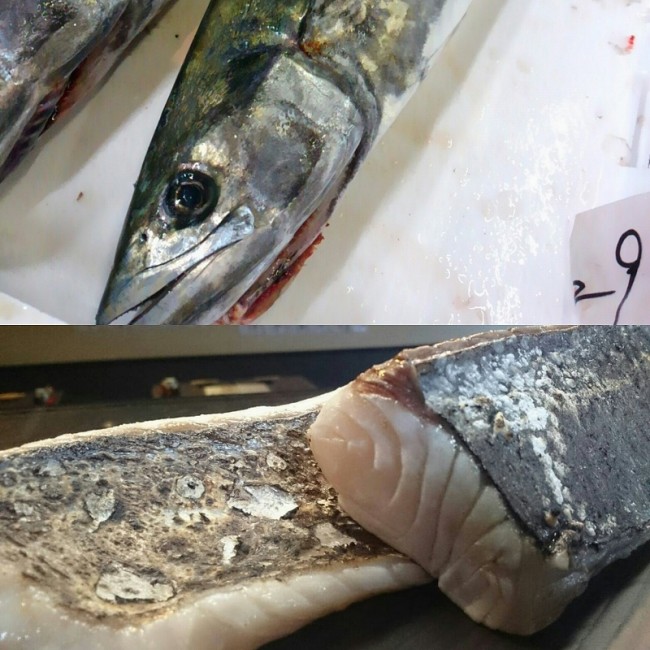 愛媛釣りさわら 焼き霜造り