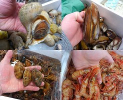 s-IMG_20160402_134422