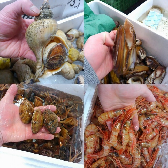 島根赤バイ 北海道大溝貝 愛知すだれ貝 北海道ボタン海老