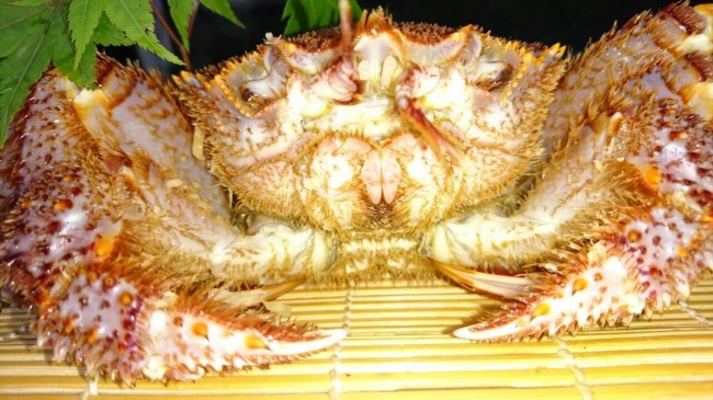 5kgで7入りなので約700g。 販売相場で言うと。。。1杯約6000円! これをおどりやでは北海道祭り期間中は 半額の3000円でご提供します! ちょっと高く感じてしまいますが。。。 絶対お得です!