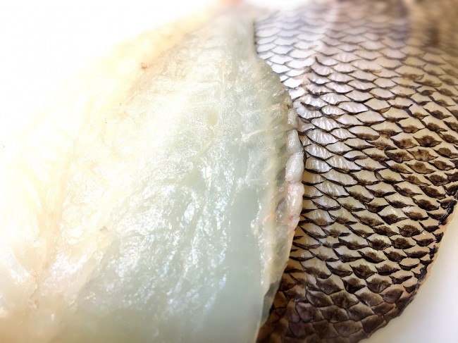 見ての通りのモチモチ身質! 皮目がかなり美味しいんで、おすすめは『焼き霜造り』 最高級白身魚をお値打ち価格で!