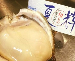 FB_IMG_1467428578330