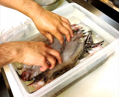 screenshotshare_20161031_144238