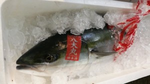 camerazoom-20170105065657915