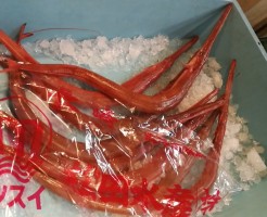 camerazoom-20170111064356351