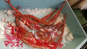 camerazoom-20170111064356351