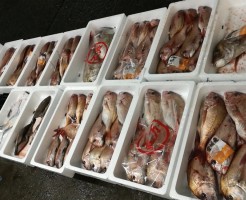 CameraZOOM-20170119061510141