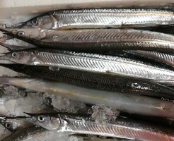 CameraZOOM-20170207070334491