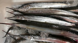 CameraZOOM-20170207070334491