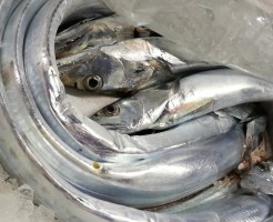 CameraZOOM-20170216065723066