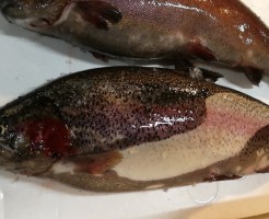 CameraZOOM-20170217072610872