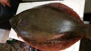 CameraZOOM-20170311063814963