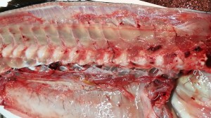 CameraZOOM-20170314064834328