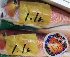 CameraZOOM-20170327065359518