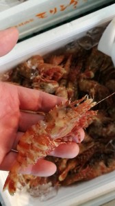 CameraZOOM-20170508061658027