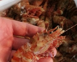 CameraZOOM-20170508061658027