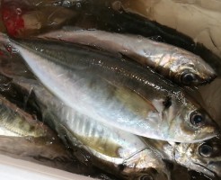 CameraZOOM-20170527062542597