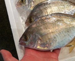 CameraZOOM-20170610065308468