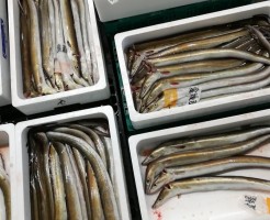 CameraZOOM-20170612061638951