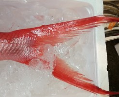 CameraZOOM-20170706063432601