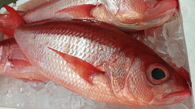 CameraZOOM-20170710071631662