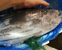 CameraZOOM-20170722070424738