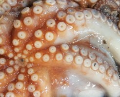 CameraZOOM-20170725081128952