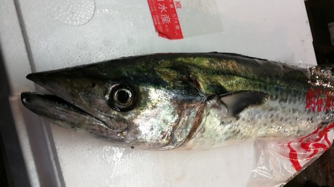 CameraZOOM-20170801063338332