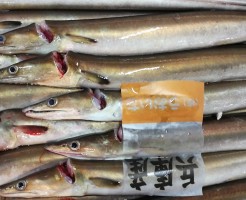 CameraZOOM-20170805062053932