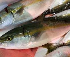 CameraZOOM-20170822063614354