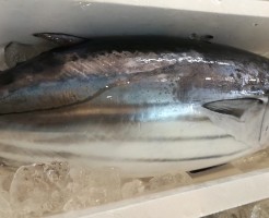 CameraZOOM-20170904064952473