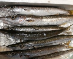 CameraZOOM-20170921061352119