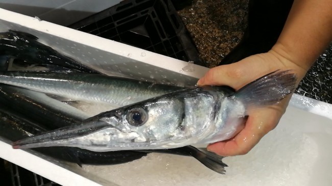 CameraZOOM-20171003071300634