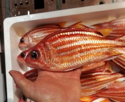 CameraZOOM-20171010062810926