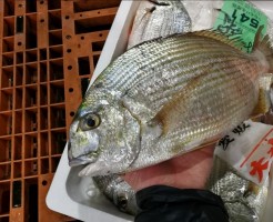 s-IMG_20171204_070109