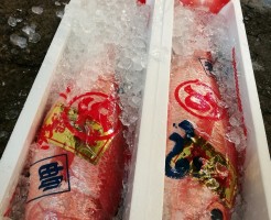 s-IMG_20171205_063606