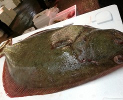 s-IMG_20171216_064213